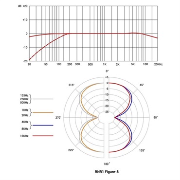 sE Electronics RNR1 RupertNeveデザイン・リボンマイク 【お取り寄せ商品】 画像10