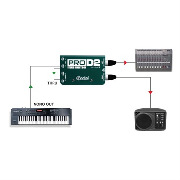 Radial PRO D2 画像8