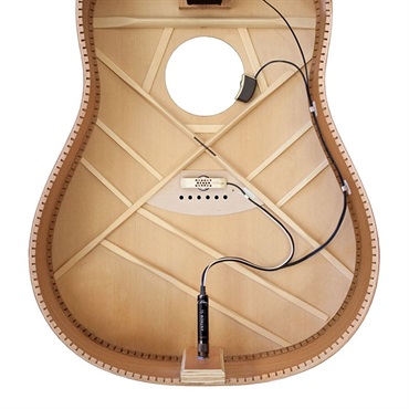 L.R.Baggs Anthem SL [Acoustic Guitar Pickup + Microphone] 画像2
