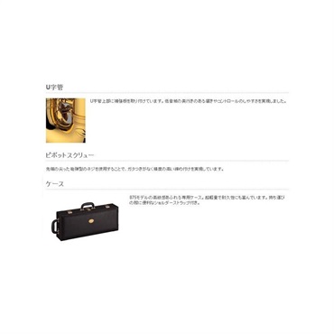 YAMAHA 【お取り寄せ品】テナーサックス ヤマハ YTS-875 【調整&セットアップ後出荷】【5年間キーバランス調整無料】【演奏＆お手入れに必要なもの全て付いてます】 画像3