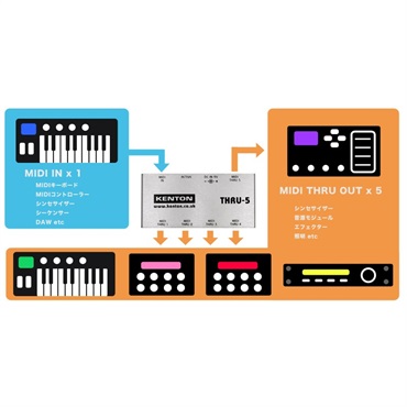 KENTON THRU-5 MIDIスルーボックス 画像4