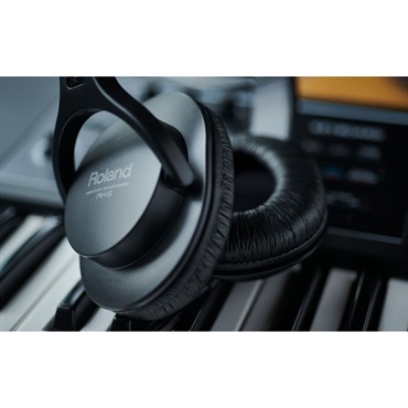 Roland RH-5 [Monitor Headphones] 画像2