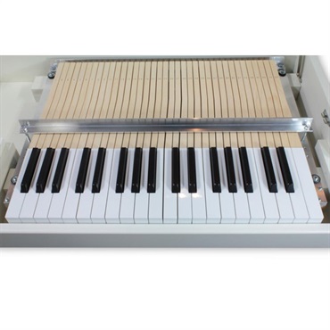 Mellotron Digital Mellotron M4000D 【本家メロトロン社製・デジタル版Mellotron】 画像8