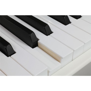 Mellotron Digital Mellotron M4000D 【本家メロトロン社製・デジタル版Mellotron】 画像9