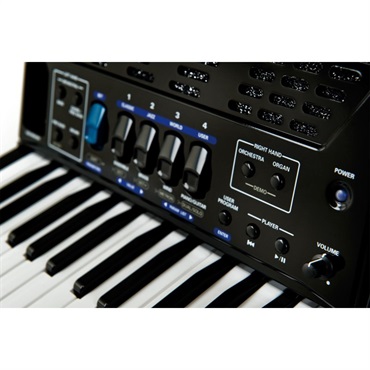 Roland (台数限定・専用キャリングバッグ付) FR-1X BK ブラック ローランド Vアコーディオン ピアノ式 26鍵盤 画像3