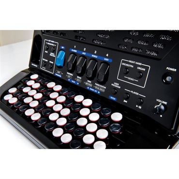 Roland (台数限定・専用キャリングバッグ付)FR-1Xb BK (カラー：ブラック) ローランド Vアコーディオン 電子 クロマチックアコーディオン ボタン式 小型 画像2