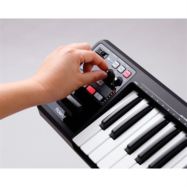 Roland A-49-WH 画像6