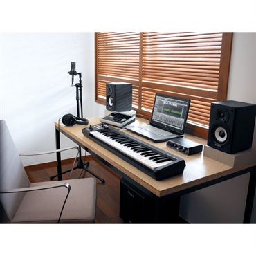 Roland A-49-WH 画像7