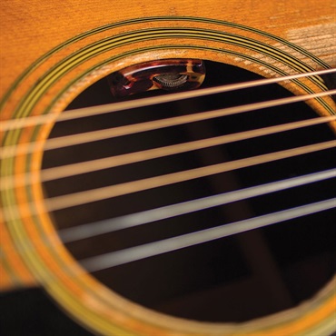 L.R.Baggs Lyric [Acoustic Guitar Microphone] 画像4
