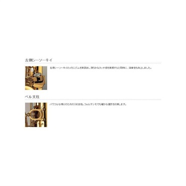YAMAHA 【受注生産品】テナーサックス ヤマハ YTS-875S 【調整&セットアップ後出荷】【5年間キーバランス調整無料】【演奏＆お手入れに必要なもの全て付いてます】 画像3