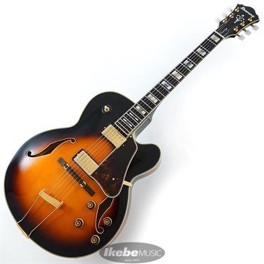 Ibanez AF200-BS 画像1