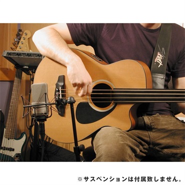 NEUMANN TLM 103 (国内正規品3年保証)(ノイマン)(TLM103)(単一指向性・ラージダイヤフラム・コンデンサーマイク) 画像6
