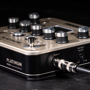 FISHMAN PLATINUM PRO EQ 【即納可能】 フィッシュマン 画像4