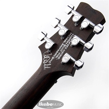P.R.S. USED 中古 Employee Guitar SANTANA II Curly Walnut 画像10