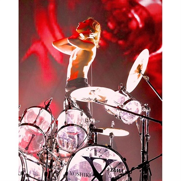 TAMA XY146 [X JAPAN YOSHIKI Signature Snare Drum]【お取り寄せ品】 画像9