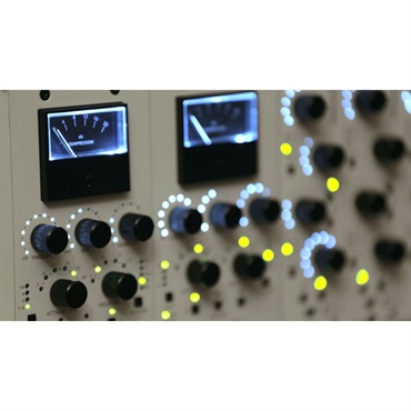 WesAudio 【ウェスオーディオTech From Saturnセール！】【お取り寄せ商品】_DIONE (API500シリーズ)(ウェスオーディオ)(コンプレッサー)(BUSコンプレッサー) 画像3