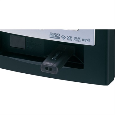 Roland MT-90U Music Player (SMF、WAV、MP3の再生に対応したミュージックプレイヤー) 画像2
