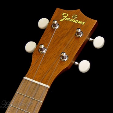 Famous 【数量限定特価】【今なら純正弦1セットサービス！】FS-1G 【初心者セット】 フェイマス 画像5
