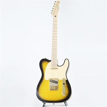 Fender (Japan Exclusive Series) Richie Kotzen Telecaster (Brown Sunburst/Maple) 画像1