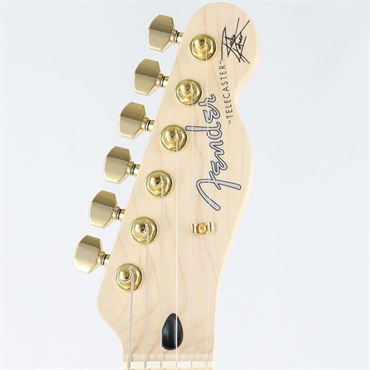 Fender (Japan Exclusive Series) Richie Kotzen Telecaster (Brown Sunburst/Maple) 画像8