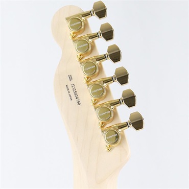 Fender (Japan Exclusive Series) Richie Kotzen Telecaster (Brown Sunburst/Maple) 画像9