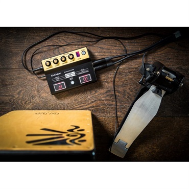 Roland EC-10M [ELCajon Mic Processor] 画像7