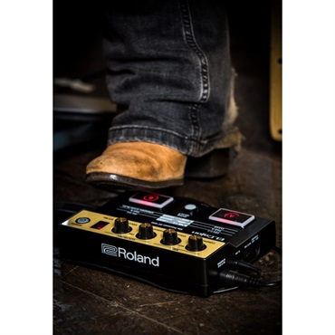 Roland EC-10M [ELCajon Mic Processor] 画像9