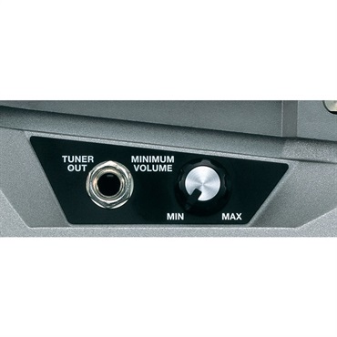 BOSS FV-500H ボリュームペダル ボス 画像1