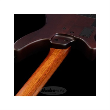 Ibanez 【入荷待ち、ご予約受付中】 Bass Workshop SRH505F-NNF 画像5