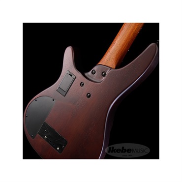 Ibanez 【入荷待ち、ご予約受付中】 Bass Workshop SRH505F-NNF 画像6