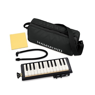 HAMMOND PRO-24B 画像1