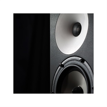 Amphion 【受注生産品】One18 (ペア)(パッシブモニタースピーカー)(スタジオモニター)(ニアフィールド)(One 18)(アンフィオン) 画像2
