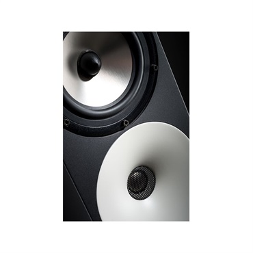 Amphion 【受注生産品】Two18 (ペア)(パッシブモニタースピーカー)(スタジオモニター)(ニアフィールド)(Two 18)(アンフィオン) 画像3