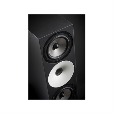 Amphion 【受注生産品】Two18 (ペア)(パッシブモニタースピーカー)(スタジオモニター)(ニアフィールド)(Two 18)(アンフィオン) 画像4