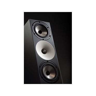Amphion 【受注生産品】Two18 (ペア)(パッシブモニタースピーカー)(スタジオモニター)(ニアフィールド)(Two 18)(アンフィオン) 画像5