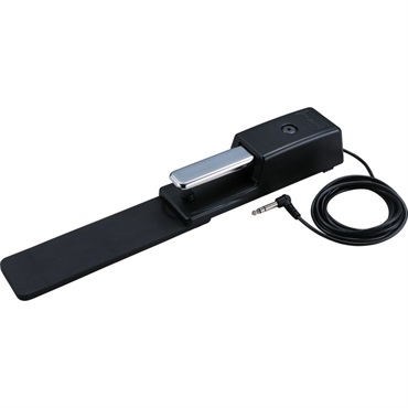 Roland DP-10【次回6月～7月頃入荷見込み】 画像1
