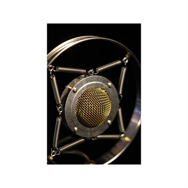 Ear Trumpet Labs Myrtle (マートル)(イヤー・トランペット・ラボ)(コンデンサーマイク) 画像4