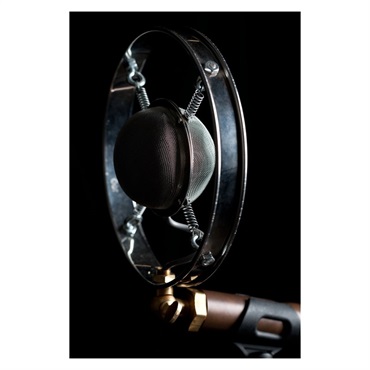 Ear Trumpet Labs Louise (ルイーズ)(イヤー・トランペット・ラボ)(コンデンサーマイク) 画像4