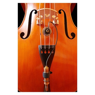 Ear Trumpet Labs Nadine (ネイディーン)(イヤー・トランペット・ラボ)(コンデンサーマイク) 画像1