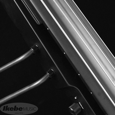 Hallstatt WBSE-850 (BLK) [アップライトベース] 画像3