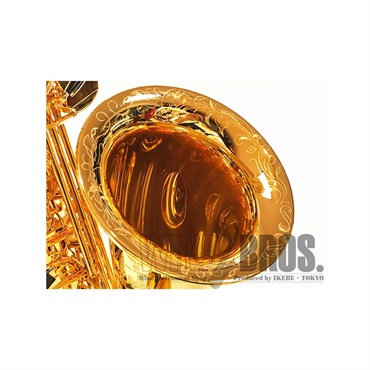 Selmer Paris 【時価商品】 アルトサックス セルマー SA-80II(シリーズ2) ジュビリー GP w/e(彫刻付) 【調整&セットアップ後出荷】【5年間キーバランス調整無料】 画像3
