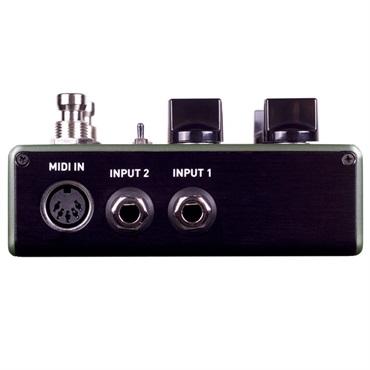 SOURCE AUDIO SA262 VENTRIS DUAL REVERB（ソースオーディオ）リバーブ 画像1