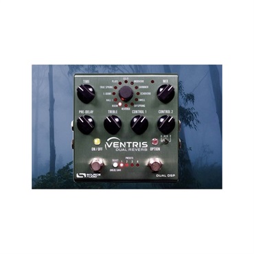 SOURCE AUDIO SA262 VENTRIS DUAL REVERB（ソースオーディオ）リバーブ 画像4