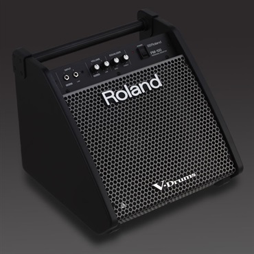 Roland PM-100 [Personal Monitor for V-Drums] 画像3