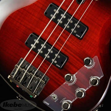 YAMAHA TRBX604FM (DRB) 画像5