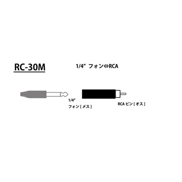 Tech RC-30M 画像1