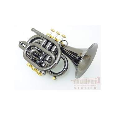 CAROL BRASS キャロルブラス / N3000 BLK GB 【Bb ポケット トランペット 】【出荷前調整で安心】 画像1