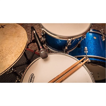 sE Electronics V7 X (楽器向けモデル)(超単一指向性)(エスイーエレクトロニックス) 画像4
