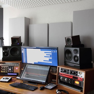 NEUMANN KH 310 A L G(1本)(ノイマン)(モニタースピーカー)(3ウェイパワードモニタースピーカー)(L側) 画像8