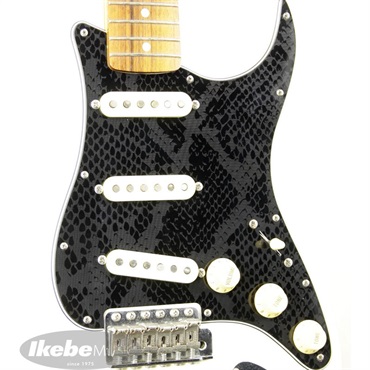 AID ST-PICKGUARD BWB SNAKE PROTO 画像1